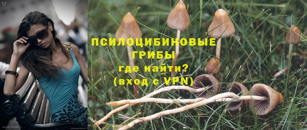 скорость Белокуриха