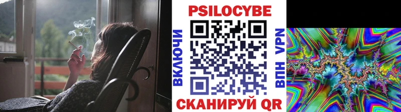 Псилоцибиновые грибы Psilocybe  blacksprut зеркало  Острогожск 